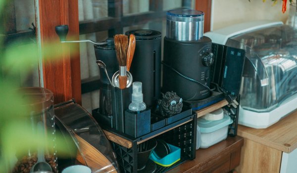 Peinture murale ou papier peint : quel revêtement choisir?