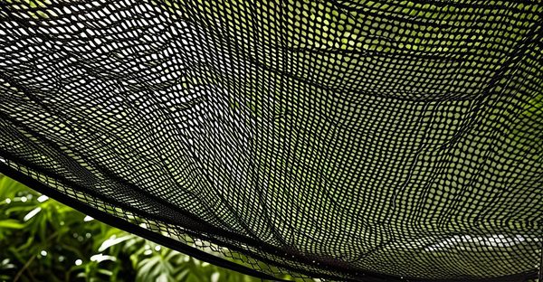 Moustiquaire enroulable sur mesure : style et protection.